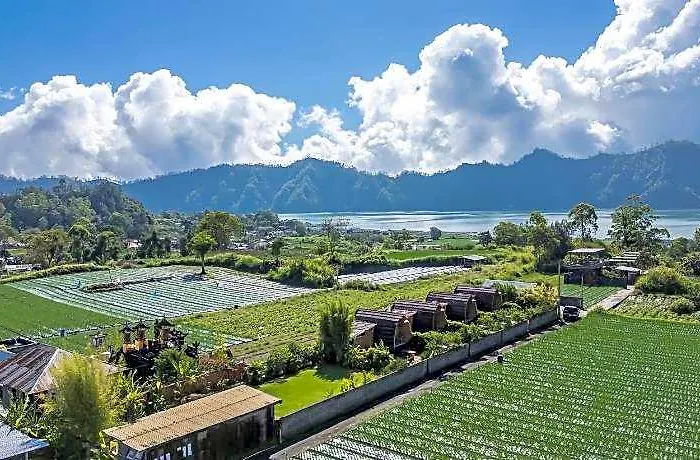 Tegal Bamboo & Private Hot Spring 3* Toya Bungkah