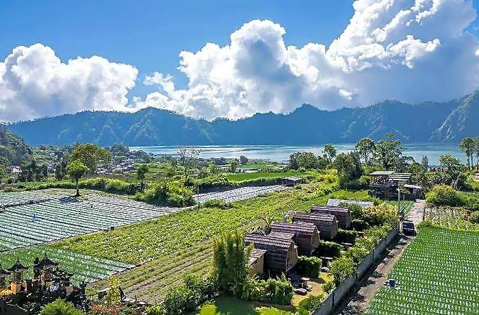 فندق Tegal Bamboo & Private Hot Spring 3*