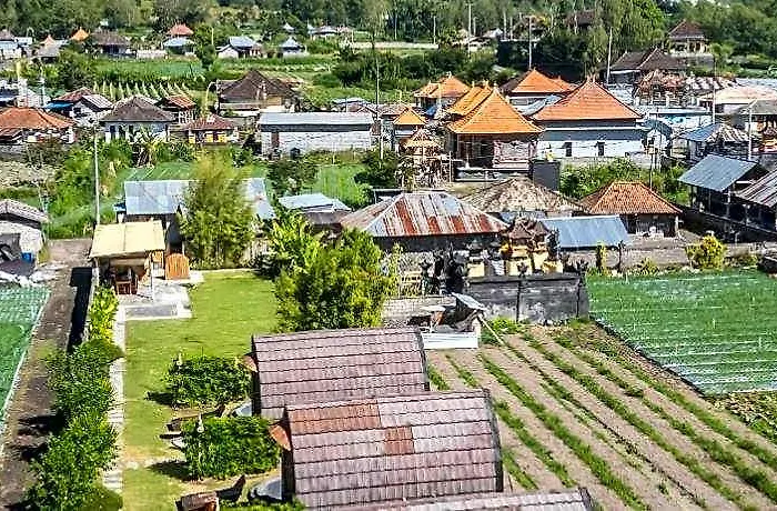 Tegal Bamboo & Private Hot Spring 3*