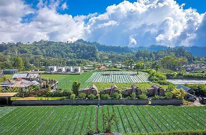 Tegal Bamboo & Private Hot Spring 3*